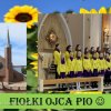 Wieści z Gdańska - Cecyliada